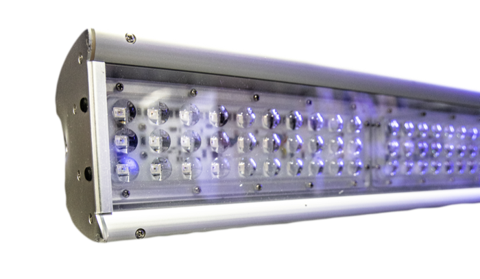 Reaction LEDs